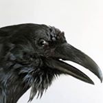 Profile Picture of Adam Swinford (@talwyn87) on Instagram