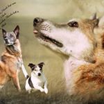 Profile Picture of Jutta Schmidt (@real.life.fotos) on Instagram