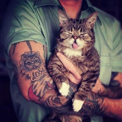 Profile Picture of Tom Crunk (@luuuuckytyyy) on Twitter