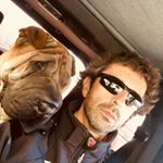 Profile Picture of Fernando Palos (@fpalos5) on Instagram