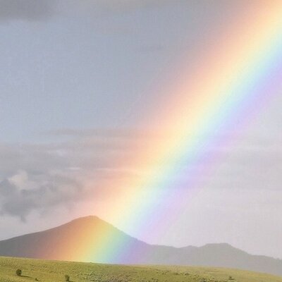 Profile Picture of Jeanette Thompson (@nurrsey) on Twitter