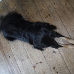 Adam Więckowski - Instagram Profile Picture of Adam Więckowski (@adam_wieckowski_) on Instagram