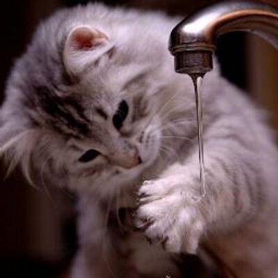 Profile Picture of Tyler Gale (@gale_tyler) on Twitter