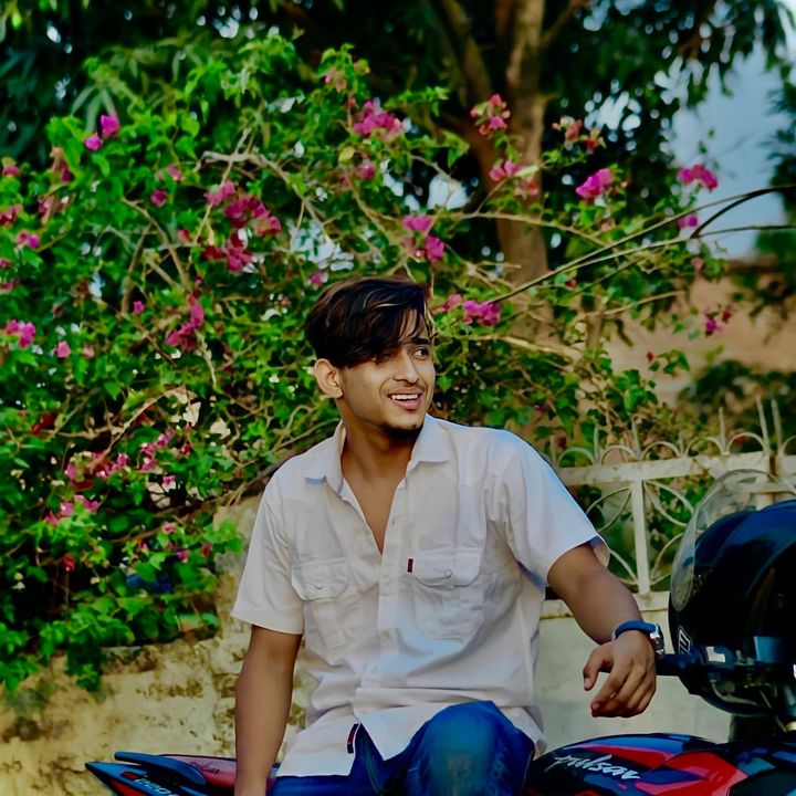 David - Tiktok Profile Picture of David (@daviddangi) on Tiktok