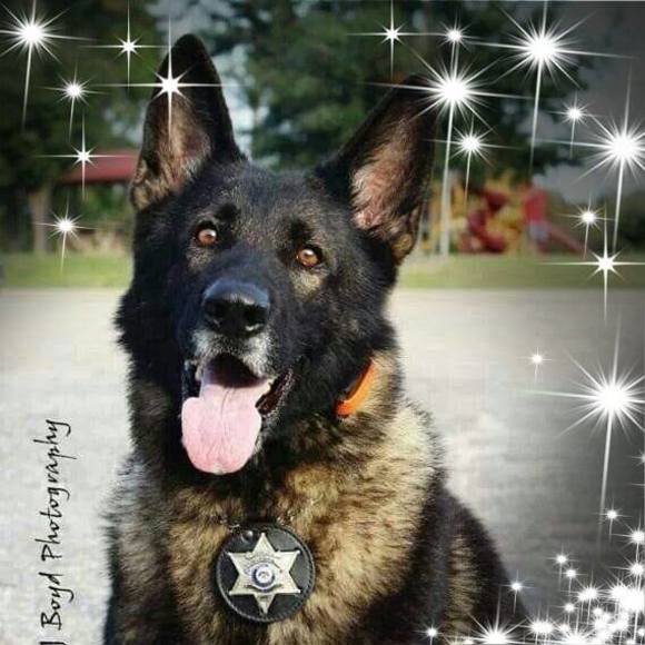 Profile Picture of Derek Batiste (@coby0306) on Poshmark