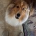 Profile Picture of Kaitlin Reimer (@kaitlin.reimer.73) on Facebook
