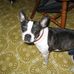 Profile Picture of Gayle Ellis (@gayle.ellis.71066) on Facebook