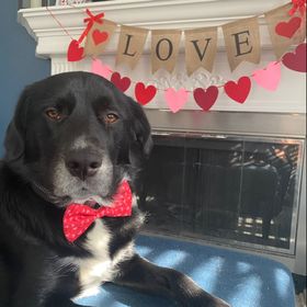 Lori Rosario-Griffin - Pinterest Profile Picture of Lori Rosario-Griffin (@lrg14) on Pinterest