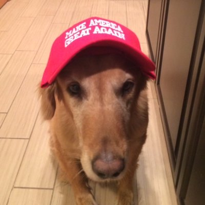 Profile Picture of Mike Derringer (@MikeDerringer22) on Twitter