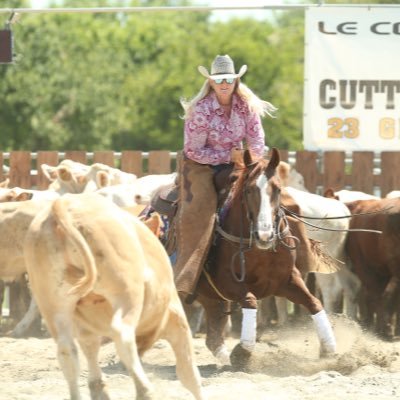 Profile Picture of Sheri Mason Cutting Horses (@HorsesSheri) on Twitter