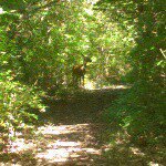 Profile Picture of dinerman.michael (@dinerman.michael) on Instagram