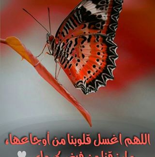 Built Fly (Beauty fly) - Facebook Profile Picture of Built Fly (Beauty fly) (@built.fly) on Facebook