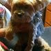 Profile Picture of David Alan Maywald (@david.a.maywald) on Facebook