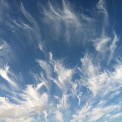 Profile Picture of Ron Mori (@Rkdcm) on Twitter