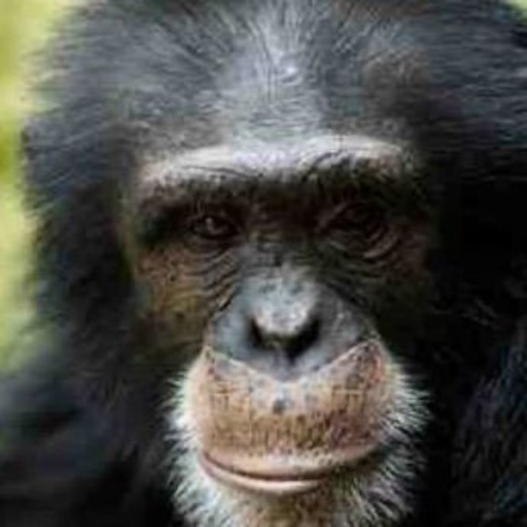 Profile Picture of Bobby Unkle (@unclebobby80) on Poshmark