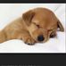 Profile Picture of Neil Michelsen (@Neil-Michelsen) on Facebook