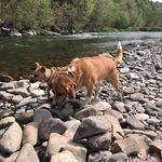 Profile Picture of tadeusz i kiciosława (@tadziuikicia) on Instagram