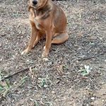 Profile Picture of lino conti (@conti5844) on Instagram