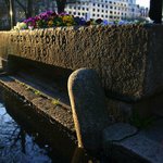 Profile Picture of Jerimiah Baldwin (@jerimiahbaldwin) on Instagram