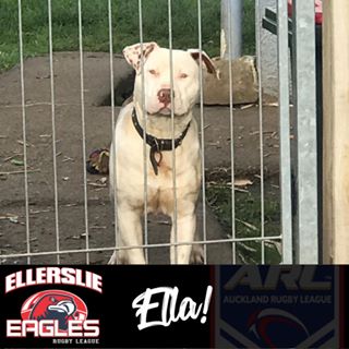 Profile Picture of Selemi Lahi (@jeremy.noon.127) on Facebook