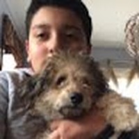 Profile Picture of Matthew Calabro (@matthew-calabro-5) on Quora