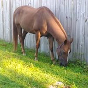 Profile Picture of Tammy Tatum (@tammy.tatum2) on Myspace