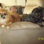 Paulette Galusha - Pinterest Profile Picture of Paulette Galusha (@galusha0047) on Pinterest