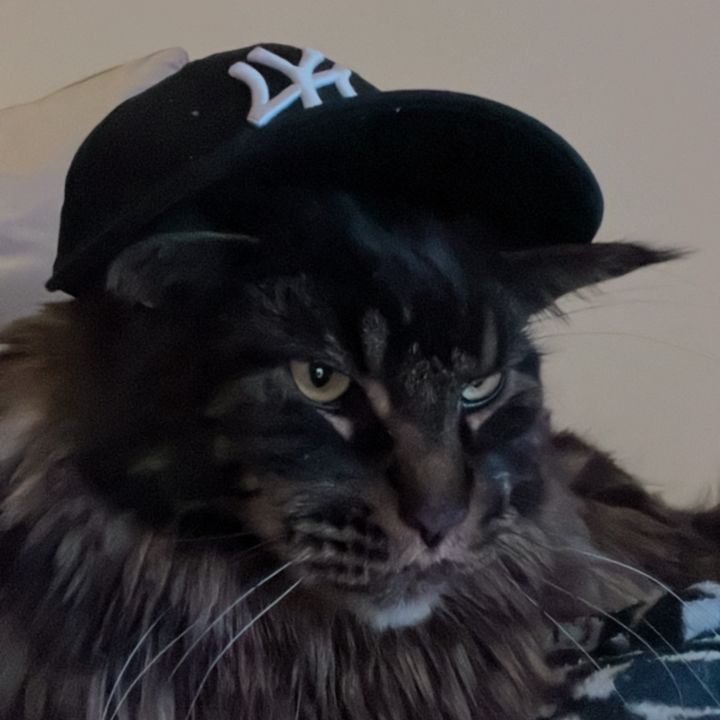 Profile Picture of Benjamin Kočevar (@ben..33) on Tiktok