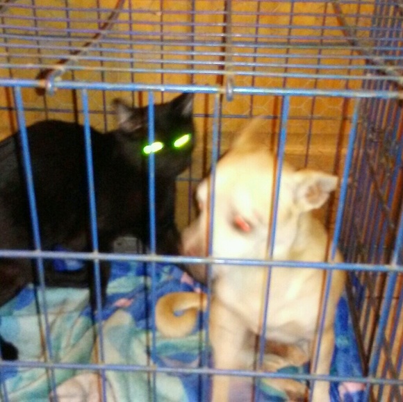 Vanesa Olgin - Poshmark Profile Picture of Vanesa Olgin (@vanesaolgin) on Poshmark