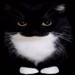 Profile Picture of Charles James Blevins (@weedank_man) on Instagram