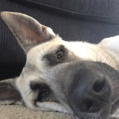 Profile Picture of Nathan Wicks (@thomaswicks91) on Twitter