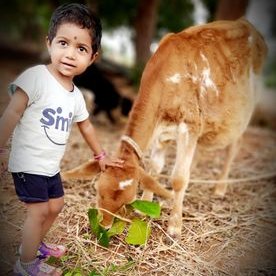 Profile Picture of Sureshkrishna (@Suresh1krishna) on Twitter