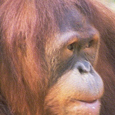 Profile Picture of Marc Grober (@netbuoy) on Twitter