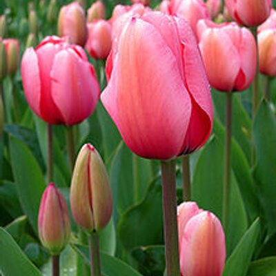 Profile Picture of Wendy Klein (@MorningGale1) on Twitter