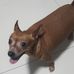 Profile Picture of Arthur De Castro (@arthur.decastro.520) on Facebook