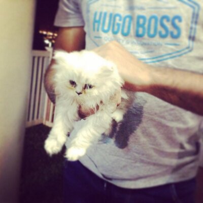 Profile Picture of Mohammed Simjee (@simjee7860) on Twitter