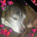 Profile Picture of Kim Showalter Drzal (@kim.showalter.9) on Facebook