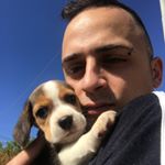 Profile Picture of Mark D'Amato (@mark.saia) on Instagram