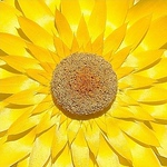 Profile Picture of ~Vision ~A i r y ~ (@~Vision ~A i r y ~) on Flickr