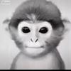 Profile Picture of Ben Schoupp (@@benschoupp) on Tiktok