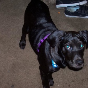 Profile Picture of Josh Oldaker (@josh1996) on Myspace