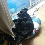 Profile Picture of Tracey Lowe (@tracey.lowe.1081) on Instagram