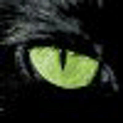 Profile Picture of Robin Donovan (@son3a) on Twitter