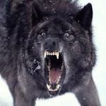 Profile Picture of Keith Ellefson (@keithellefson) on Instagram