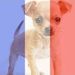 Profile Picture of Michael Heffelfinger (@mheffelfinger19) on Pinterest