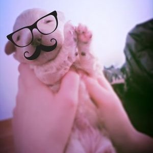 Profile Picture of Krystian Nożewski (@krycha8121) on Twitter