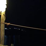 Profile Picture of Steve Rex (@_steverex_) on Instagram