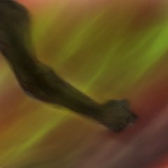 Profile Picture of James Brandon Leibee (@Spex9000) on Twitter