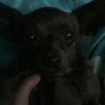 Profile Picture of Jeffrey Rodriguez Hurtado (@jeffrey.rodriguezhurtado) on Instagram