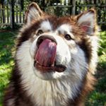 Profile Picture of Brian Boxer (@brian_boxer) on Instagram